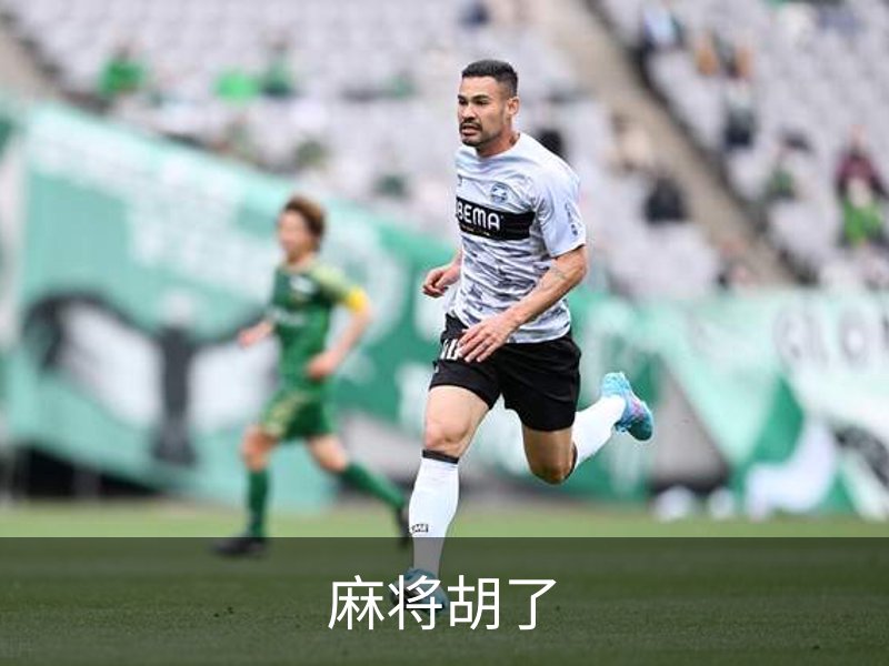 麻将胡了简介